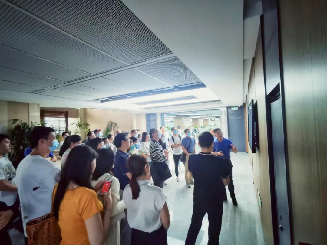 6.webp.jpg 6.webp.jpg