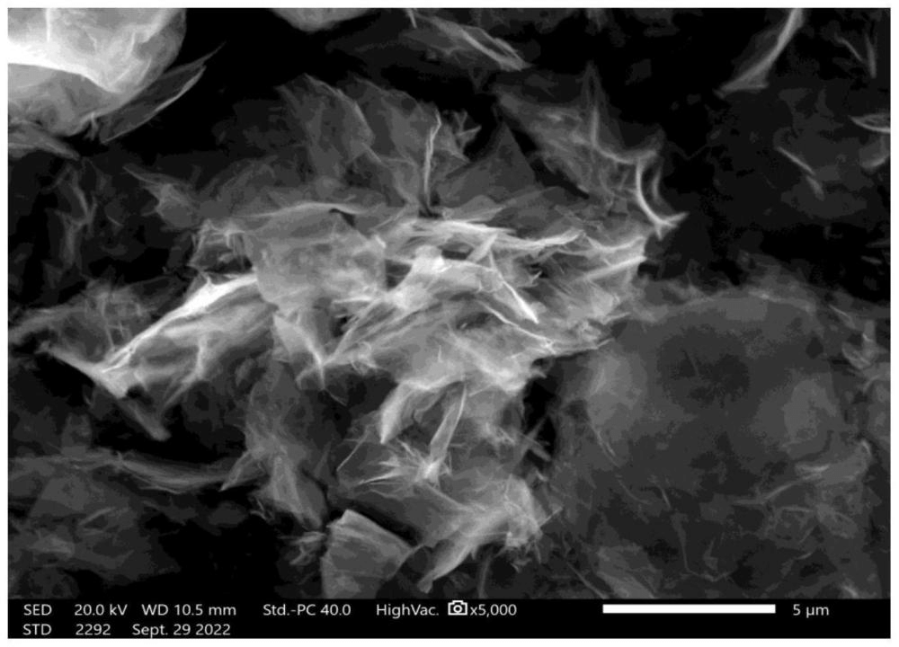 一種電化學制備石墨烯的方法