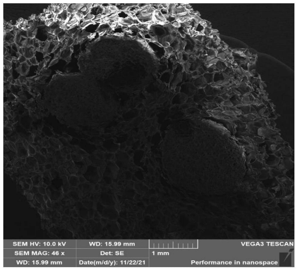 一種改性可發性聚苯乙烯顆粒、制備方法及其應用