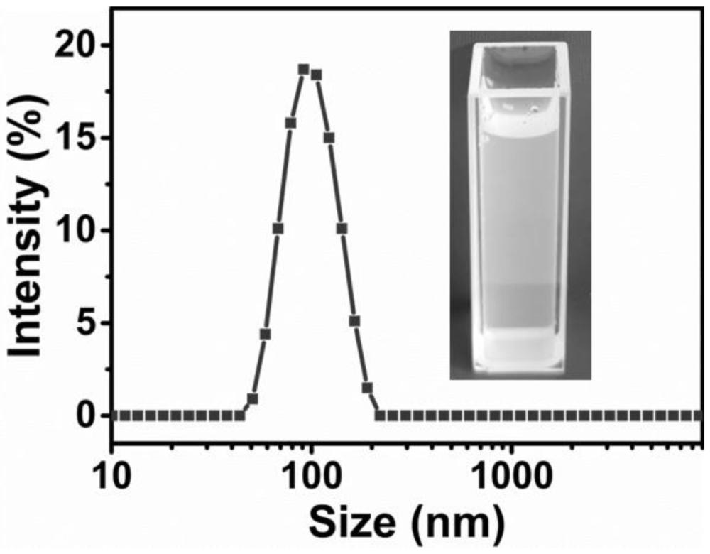一種棉酚-雙氫青蒿素自組裝納米粒的制備方法及應(yīng)用