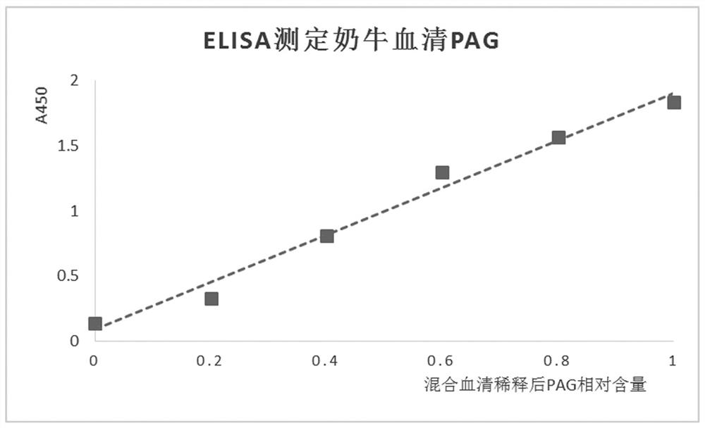 產生牛妊娠相關糖蛋白特異性單克隆抗體的小鼠雜交瘤細胞株、單克隆抗體、試劑盒及檢測
