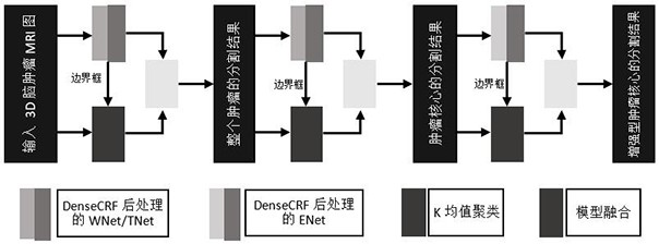 一種全連接CRF級聯FCN和K均值腦腫瘤分割算法