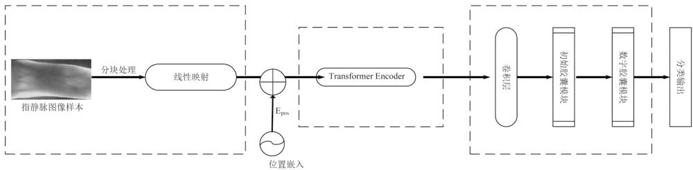 指靜脈識別模型訓練方法及識別方法、系統和終端